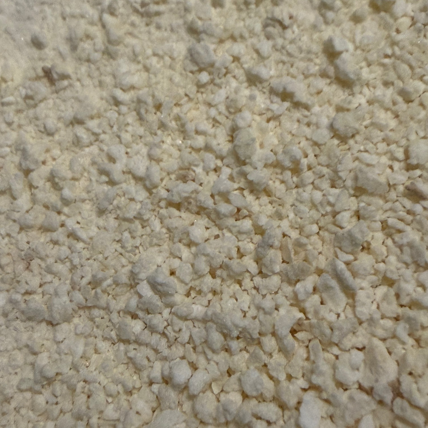 Freeze Dried Organic Garlic