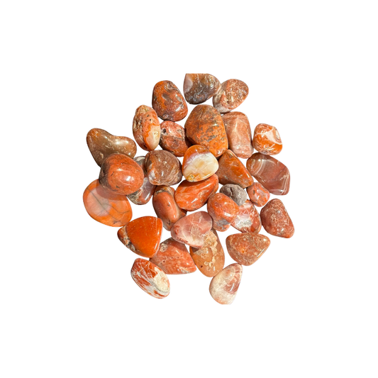 Carnelian Agate tumbled stones in warm orange, cream, and banded natural tones on a black background