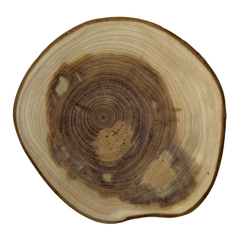 Personalized engraved cedar wood coaster set with custom laser engraving, handcrafted to protect surfaces while adding a rustic natural touch.