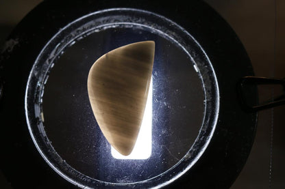 Silver Sheen Obsidian