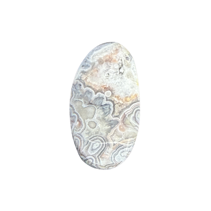 One-of-a-kind Crazy Lace Agate cabochon displaying detailed lace-like banding and earthy natural colors.