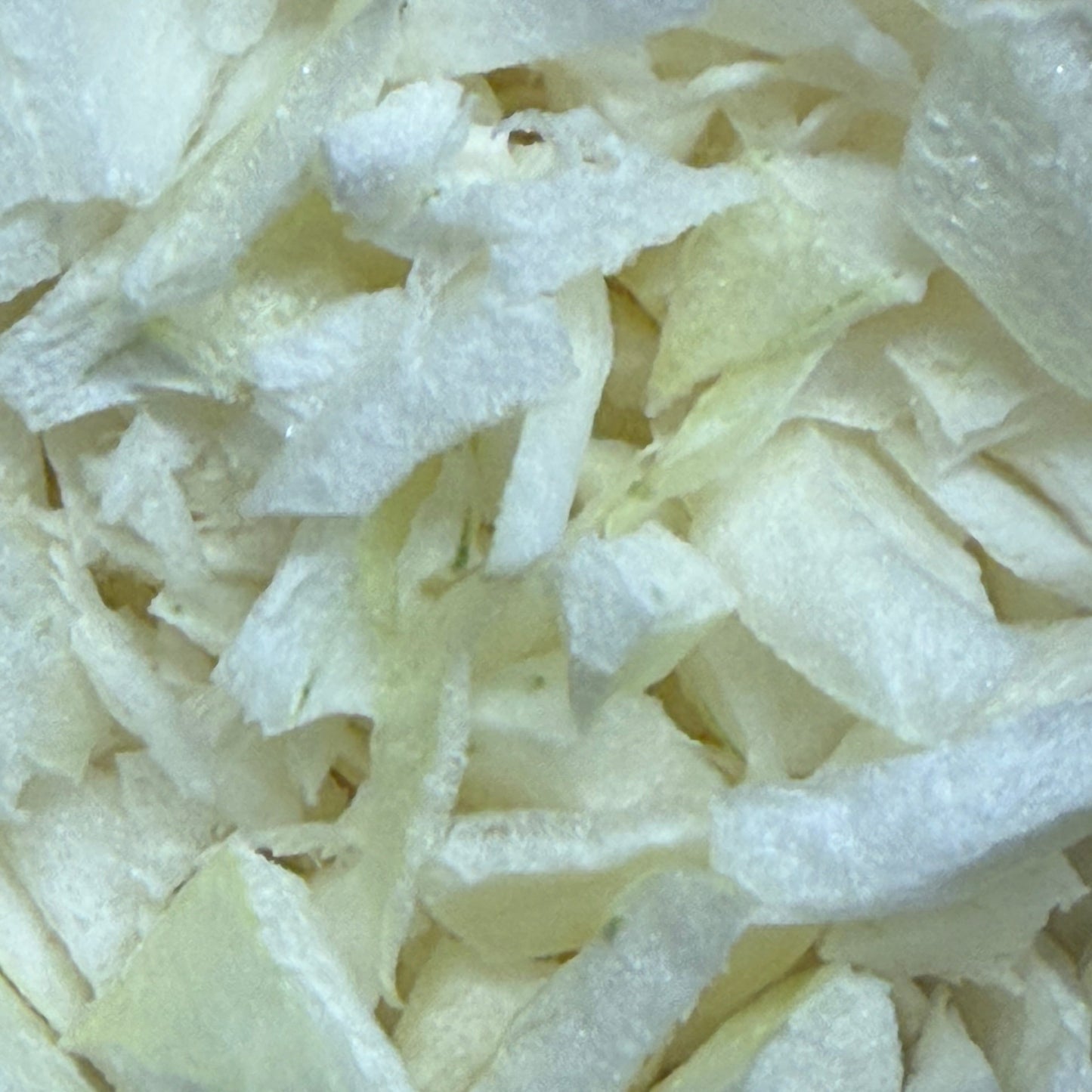 freeze dried onion