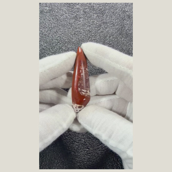 Product video featuring a genuine Brecciated Jasper cabochon with beautiful earthy tones and a smooth polished surface.